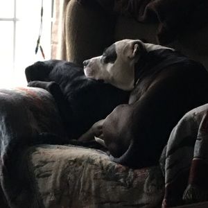 Meet your Posher, Lori